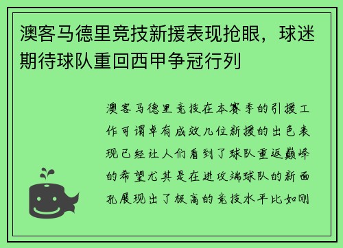 澳客马德里竞技新援表现抢眼，球迷期待球队重回西甲争冠行列